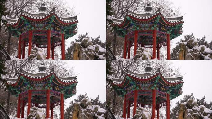 北京北海公园的自然风光