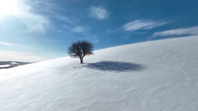 唯美雪原美景 水墨丹青画卷