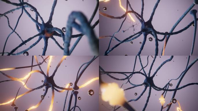 三维神经细胞传输效果视频素材