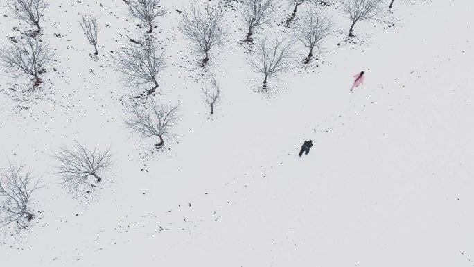 两个人在雪地里赏雪 4k