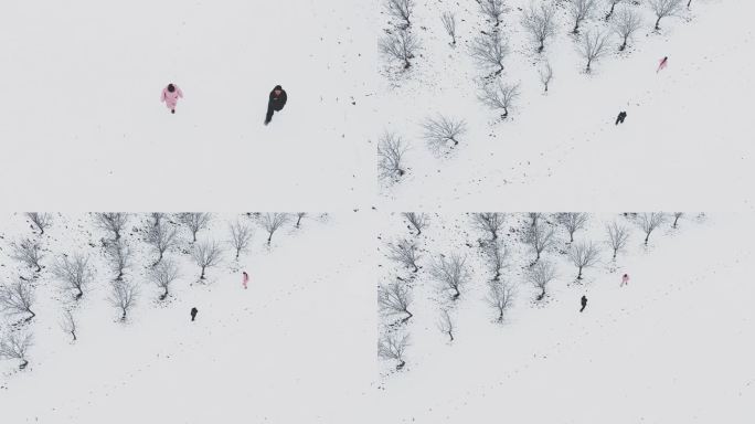 两个人在雪地里赏雪 4k