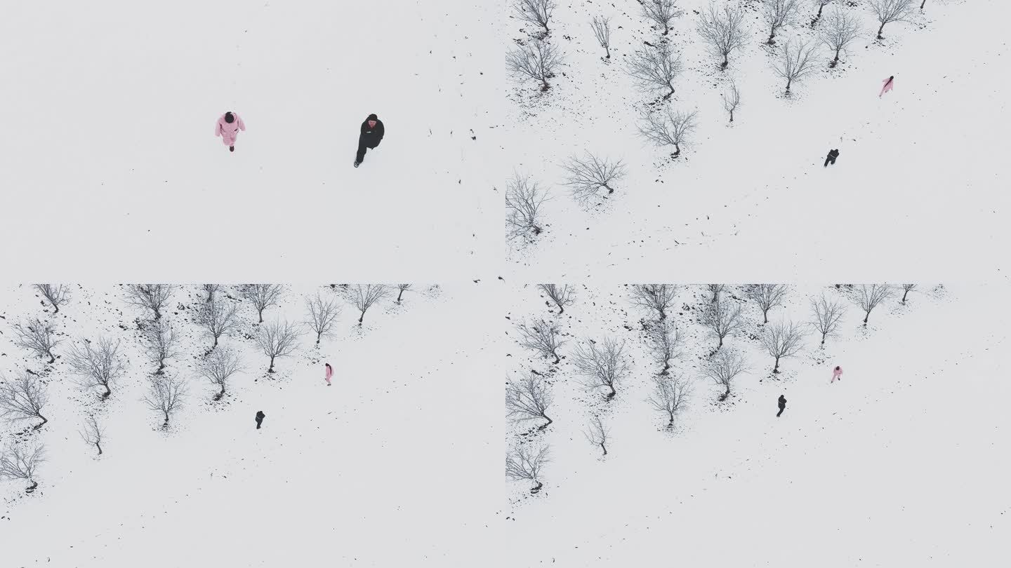 两个人在雪地里赏雪 4k