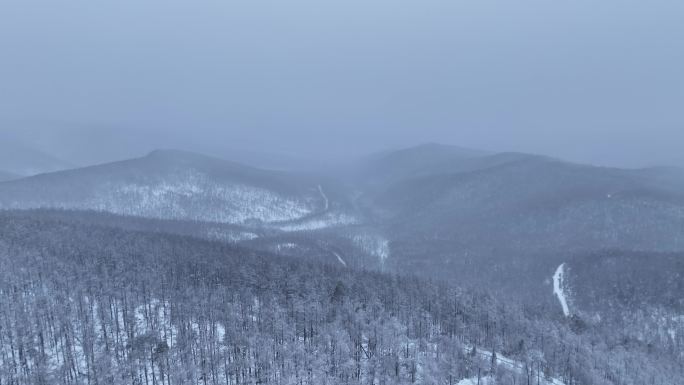 冻雾与雪中的林海雪原