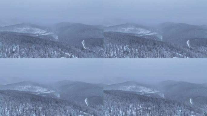 冻雾与雪中的林海雪原