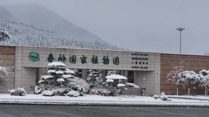 2024秦岭国家植物园雪景航拍