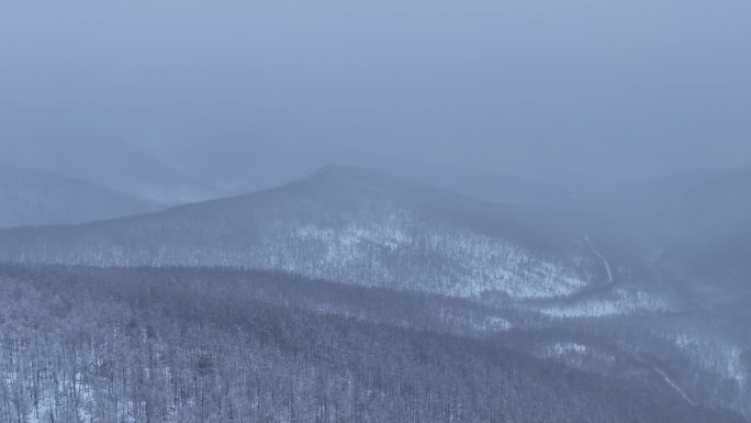 冻雾与雪中的林海雪原