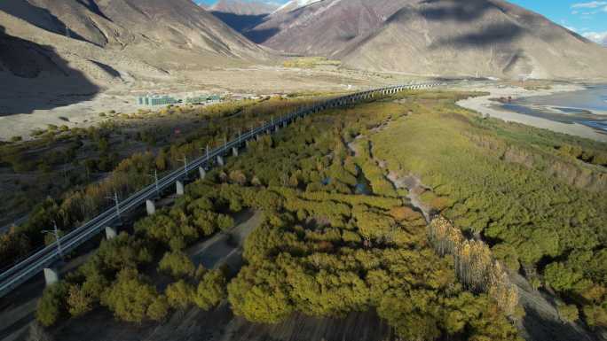 雅鲁藏布江防护林和拉林铁路