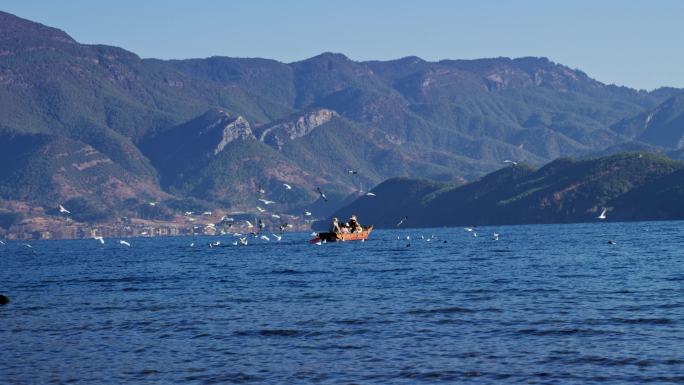 湖面划船喂海鸥