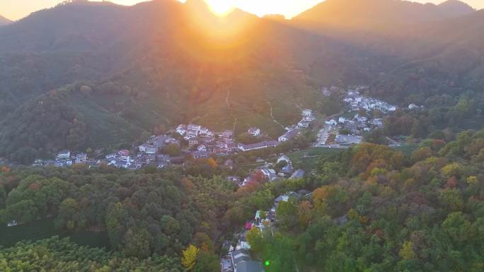 唯美杭州西湖龙井茶文化景区航拍茶园地茶叶