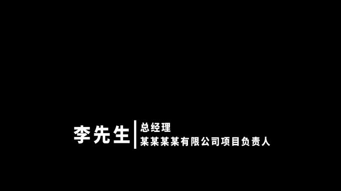 两款大气简洁人名条AE模板