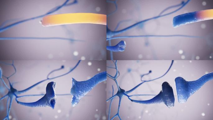 三维神经细胞生长效果视频素材