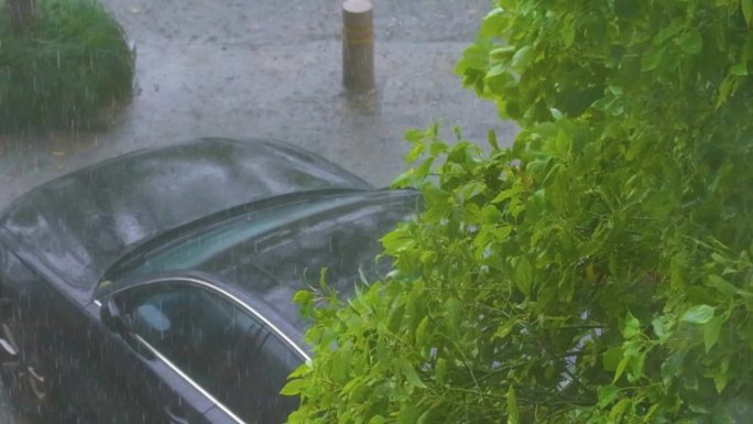 城市下暴雨倾盆大雨下雨天雨水雨滴植物树叶