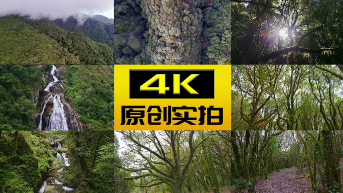 原始森林山川流水瀑布大自然绿色树林