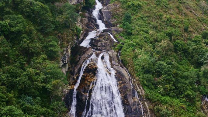 原始森林山川流水瀑布大自然绿色树林