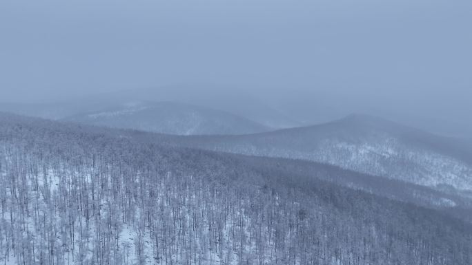 冻雾与雪中的林海雪原