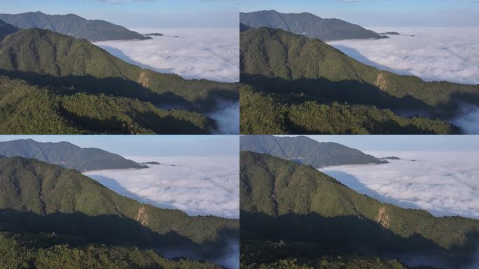 湖南神农谷大峡谷云海航拍