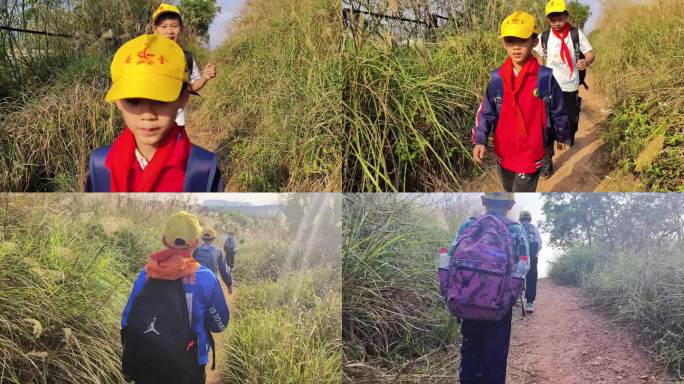 军训夏令营郊游小朋友旅游徒步行走山路登山