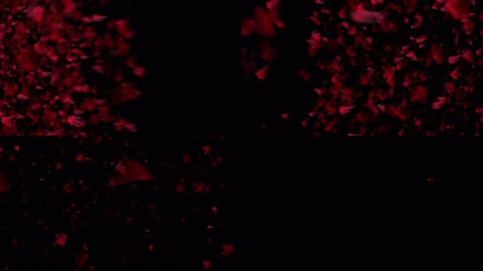 6K 透明通道花瓣爆炸转场素材