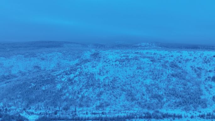小寒时节的大兴安岭森林晨曦雪景