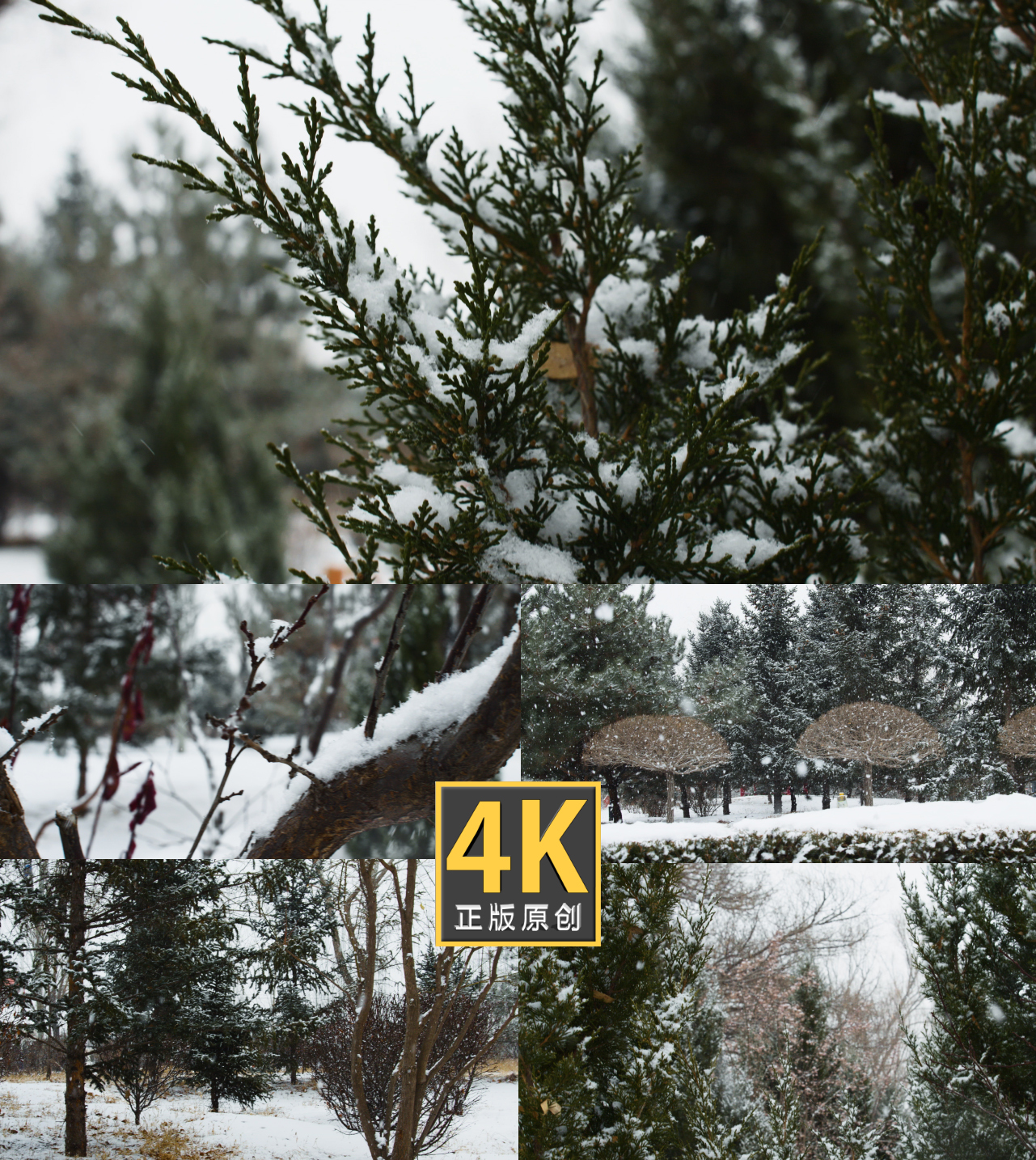 4K唯美雪景-下雪了升格镜头