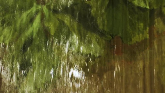 透明水幕表面以绿色热带植被为背景，瀑布近距离流动，抽象。概念自然，水疗和风景放松的风景