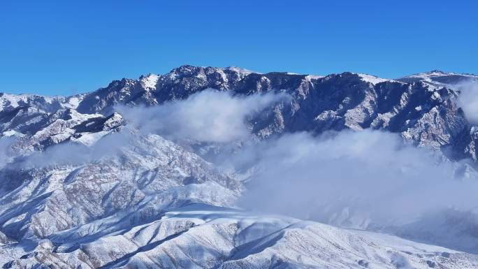 贺兰山云海 山 森林 云雾 雪山