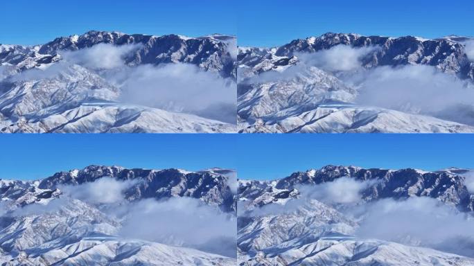 贺兰山云海 山 森林 云雾 雪山