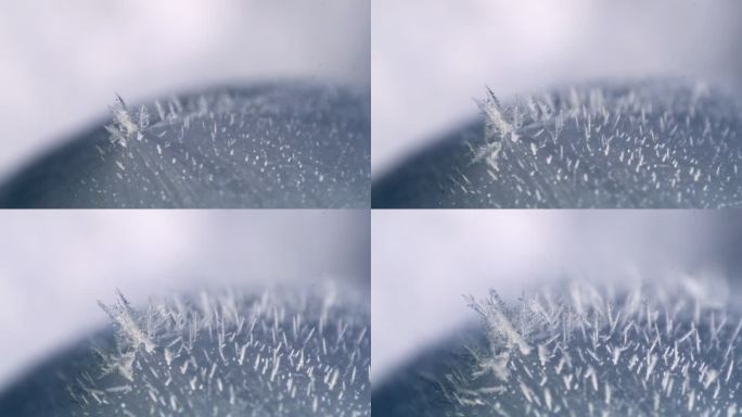 冬天自然冰花冰晶生长