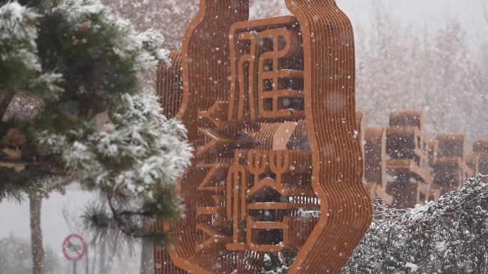 西安下雪的公园 绿植上都是雪  雁塔