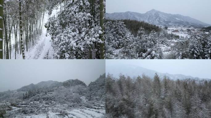 2024湖南大山里的暴雪大雪雪景冰天雪地