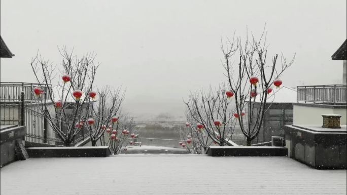 江南衢州2024年初雪漫天鹅毛大雪落下