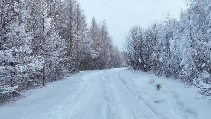 大兴安岭冬季大雪后林间道路