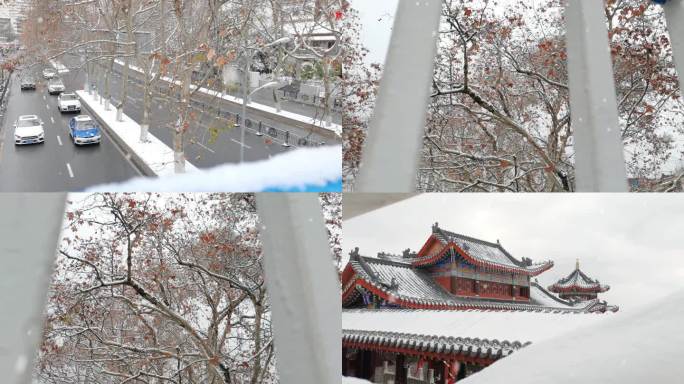 雪天 氛围 枯树 行驶