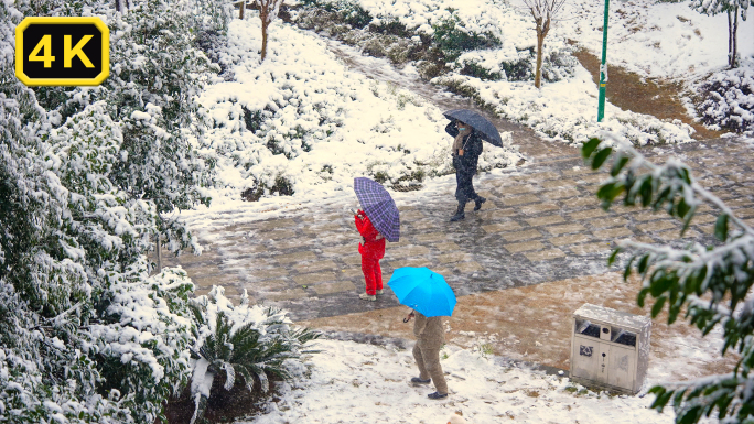 南方冬天下大雪升格下雪时小区活动的人寒冷