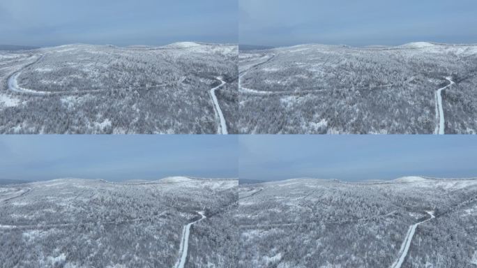 大兴安岭雾凇雪松林海雪原