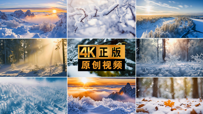 雪景下雪冬天唯美丁达尔大雪冬季