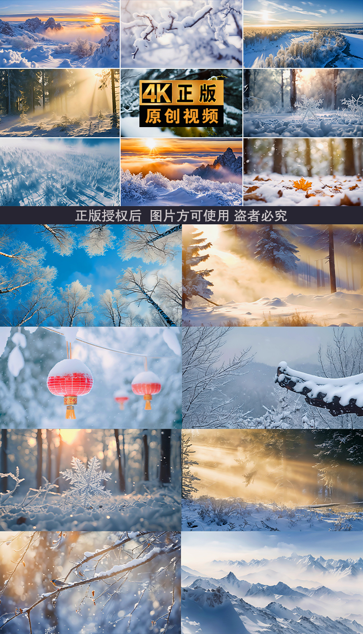 雪景下雪冬天唯美丁达尔大雪冬季