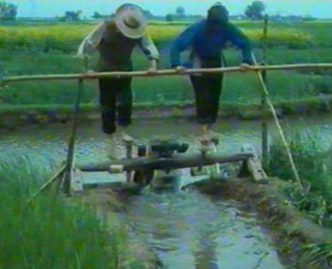 8090年代 水牛水车耕种灌溉农田