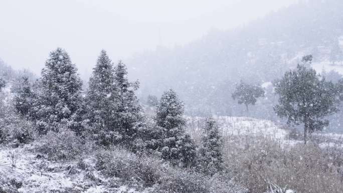 南方下雪航拍