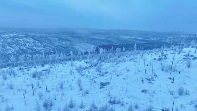 大兴安岭寒冬雾凇管护站森林冰雪道路