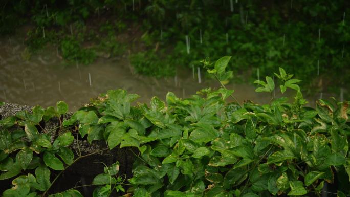 下雨啦