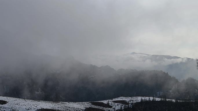 贺兰山云海 山 森林 云雾 雪山