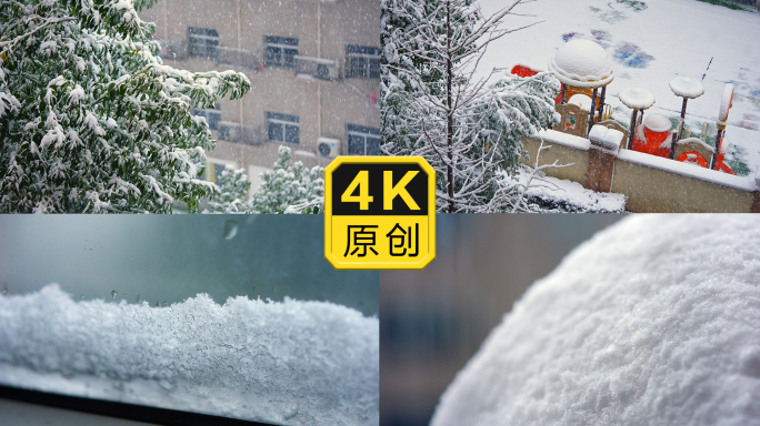 树上的积雪屋顶的雪窗台上的雪下雪升格大雪