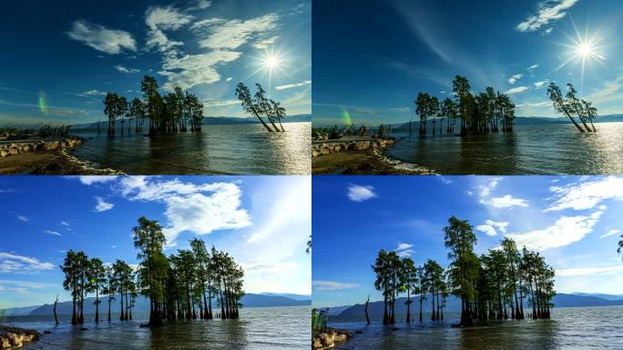 大理洱海中的红杉树延时摄影视频合集