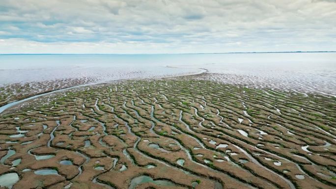 盐沼中破碎的泥滩。航拍:潮汐泥滩，裂缝海岸线上的抽象纹理，英国林肯郡弗里斯顿海岸低潮时露出泥滩和溪流