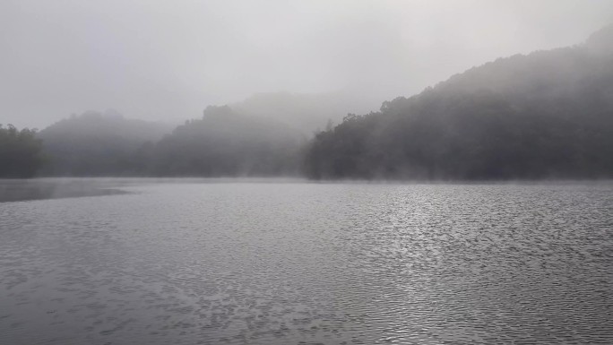 清晨雾水蒸气宛如仙境晨雾缭绕自然生态