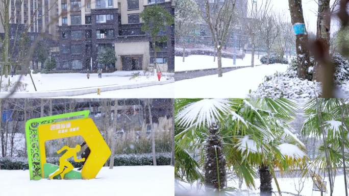 南方下雪鹅毛大雪