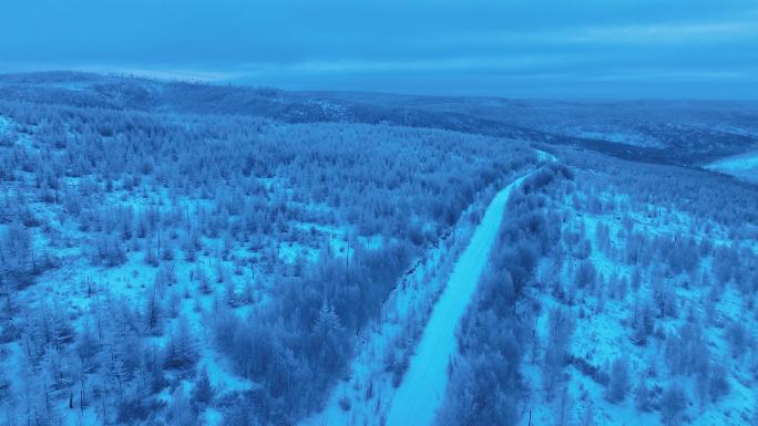 寒冬大兴安岭森林晨曦雪景