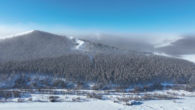 大寒时节的大兴安岭山林冷雾雪景