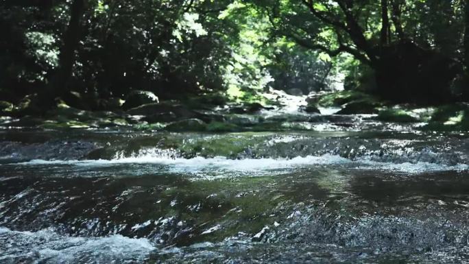 熊本县菊地峡的原始山涧